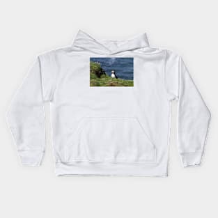 Puffin on the edge of a cliff Kids Hoodie